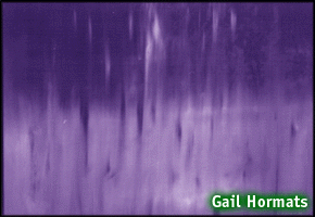 Gail Hormats