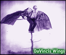 Davinci's Wings
