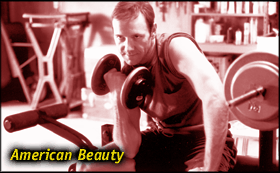 American Beauty