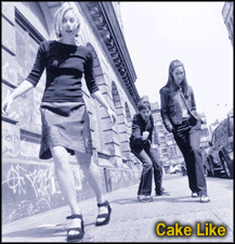 Cake Like
