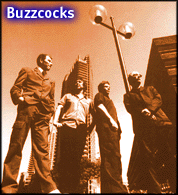 The Buzzcocks