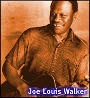 Joe Louis Walker